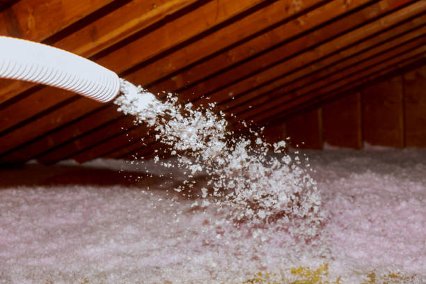 Best Commercial Insulation in Mills River, NC