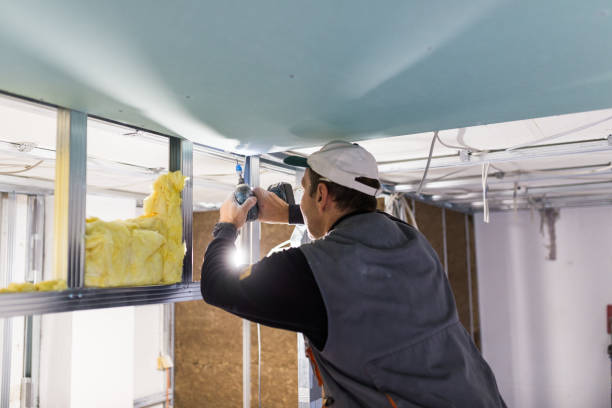 Best Geographic-Specific Insulation Services in Mills River, NC