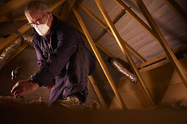 Best Spray Foam Insulation in Mills River, NC
